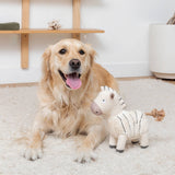 A golden retriever lies on a rug next to the Earned My Stripes Earth Friendly Dog Toy in a cozy, modern room.