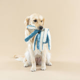 Golden retriever on beige floor, holding the Long Time No Sea Earth Friendly Dog Toy in its mouth.