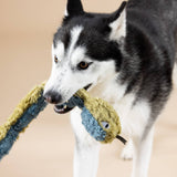 A husky bites the Don’t Get Wrapped Up Earth Friendly Dog Toy with soy faux fur on a tan background.