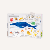 The Ultimate Book of Animals: educational kids’ book with animal illustrations and cool adaptation facts.