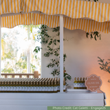 Olive oil display under a yellow striped canopy with greenery