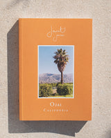 Book cover with a palm tree and mountain landscape on an orange background