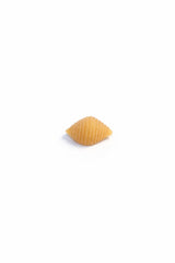 Single uncooked Pasta Santina Shell on a plain white background.