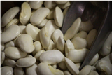 Close-up of uncooked Rancho Gordo White Heirloom Beans with a metal scoop partially visible among them.