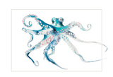 Octopus Note Card