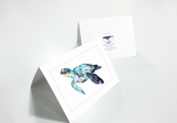 Turtle Note Card
