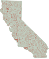 Wild California Sticker: An outline of California with hand-drawn flora & fauna, perfect for wildlife lovers in earthy tones.