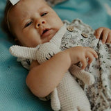 Organic Cotton Bunny
