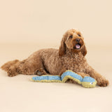 A fluffy brown dog lies on the floor with a Don’t Get Wrapped Up Earth Friendly Dog Toy filled with recycled bottles.