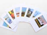 Santa Barbara Images Note Cards