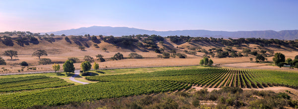 California Gifts for Wine Lovers