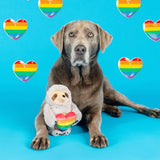 Brown dog with Follow Your Rainbow Plush Dog Toy, holding a rainbow heart, among rainbow hearts on blue.