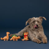 Scruffy gray dog lies next to three Baking Spirits Bright Dog Toys, licking its nose on a dark blue background.