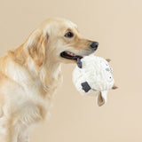 Golden retriever with a Whoooo’s There Earth Friendly Dog Toy in its mouth, gazing sideways against a beige background.