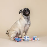 A pug sits on beige beside the High Tide Canvas Small Dog Toy Set with crab and fish plushies.