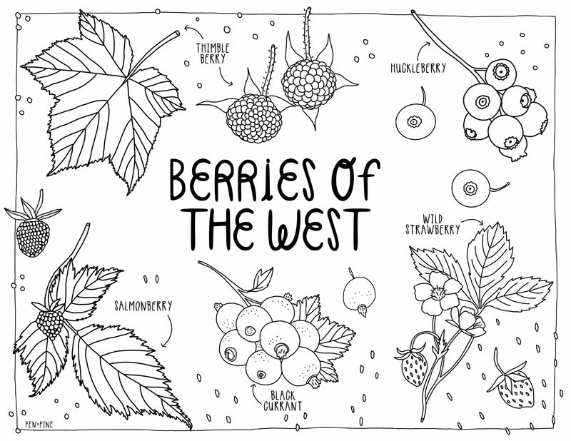 West Coast Wonderful Coloring Book