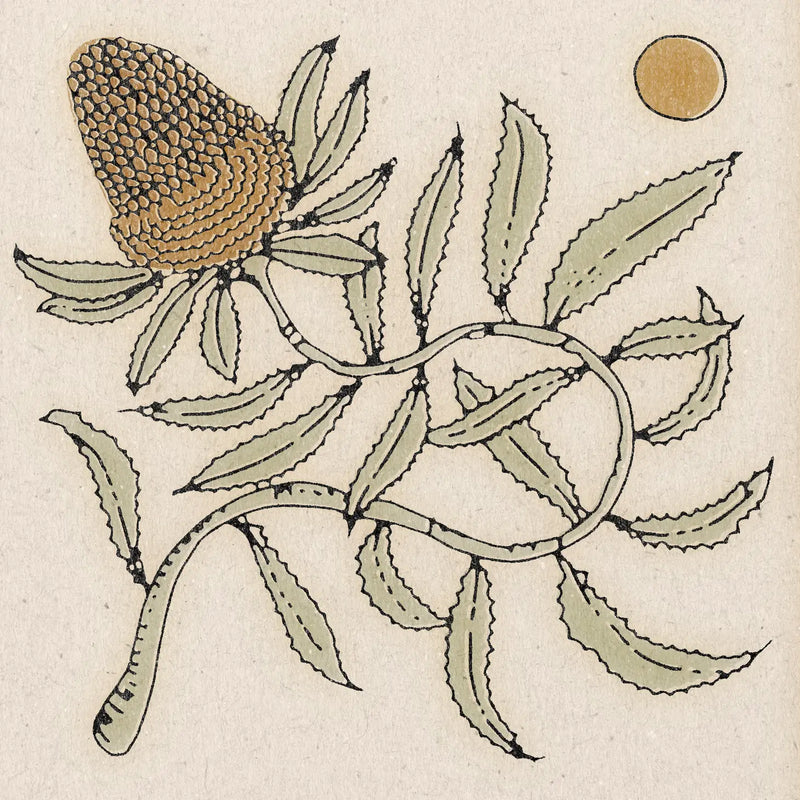 Banksia Flower Print