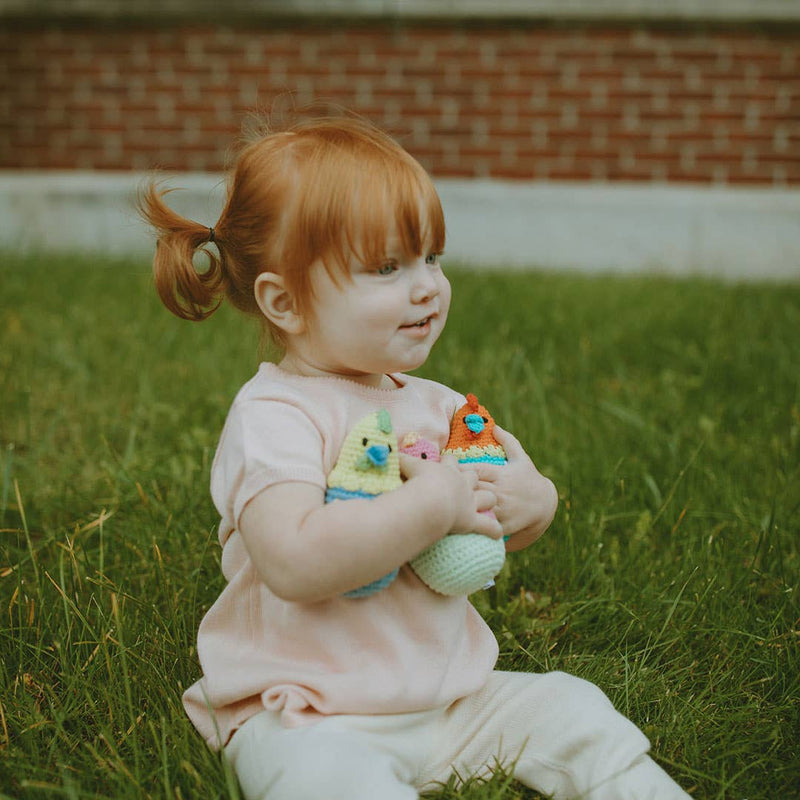 Spring Chick Rattle