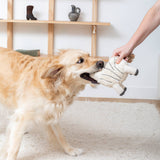 Golden retriever tugging on Earned My Stripes Earth Friendly Dog Toy, held by a hand in a cozy room with shelves.