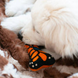 Monarch Butterfly Woolbone dog toy, close-up view