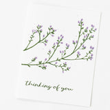 Ceanothus Thinking of You Note Card