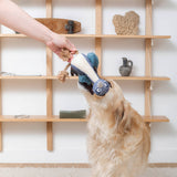 Golden retriever tugs on Feather Than Ever Earth Friendly Dog Toy filled with recycled bottles near wooden shelves.