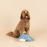 A fluffy brown dog sits with the Oh Whale Earth Friendly Dog Toy, a blue plush made from recycled water bottles.