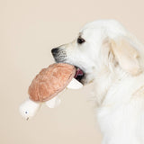 A white dog holds the Out of My Shell Earth Friendly Turtle Dog Toy, facing left, on a beige background.