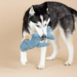 A black and white husky holds the Oh Whale Earth Friendly Dog Toy in its mouth, standing on a beige background.
