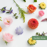 A variety of flowers featuring pinks, purplrs, oranges and yellows, called a Garden Array