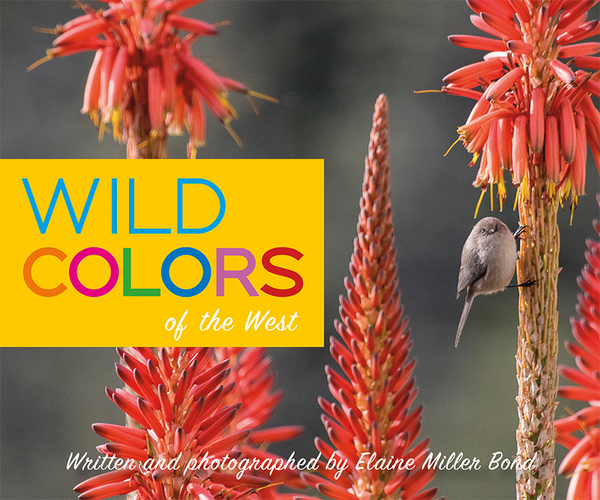 Wild Colors of the West Children's Book