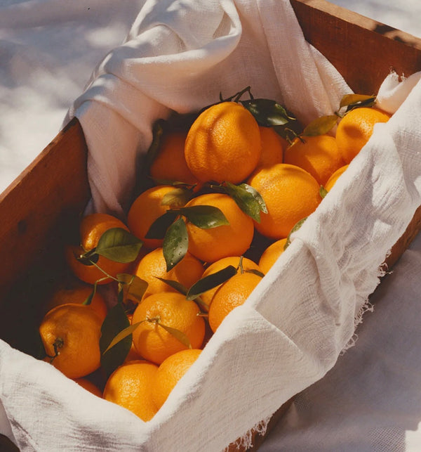 Ruby Valencia Orange and Apricot Marmalade