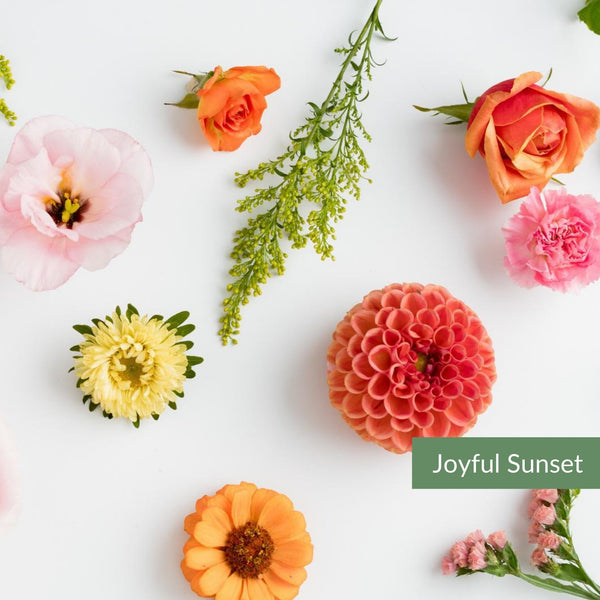 A variety of warm and vibrant flowers. Including pinks yellows, reds and oranges, entitled "Joyful Sunset"