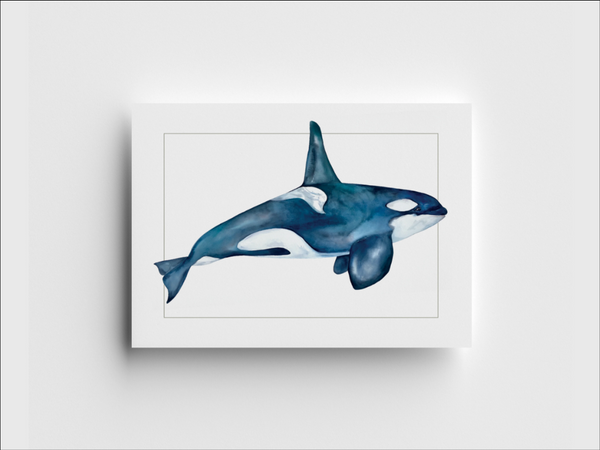 Killer Whale Note Card