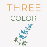 Minimalist design for "Setup Fee: 3 Color Design" featuring "THREE" in orange, "COLOR" in green, and a blue and green illustrated lupine flower below on a white background.