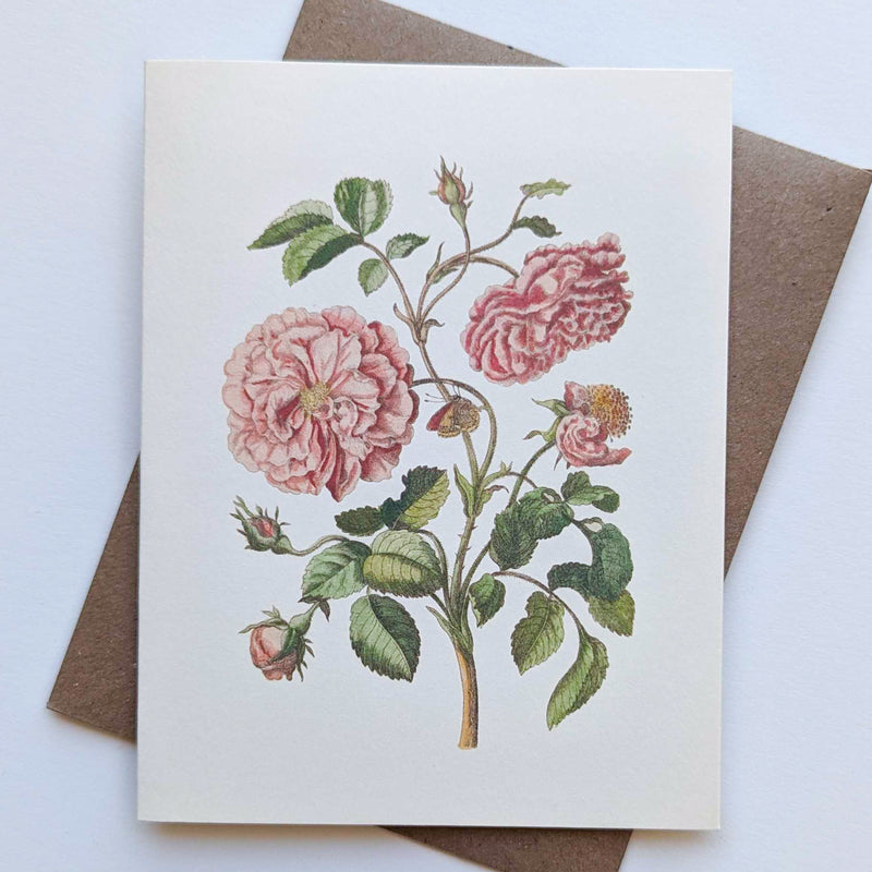 Antique Rose Note Card
