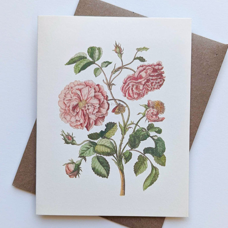 Rose Note Card Rose Note Card