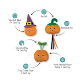 Witch of the Patch Cat Toy Set: 3 pumpkin plush cat toys with crinkle, bells, catnip & interactive felt.