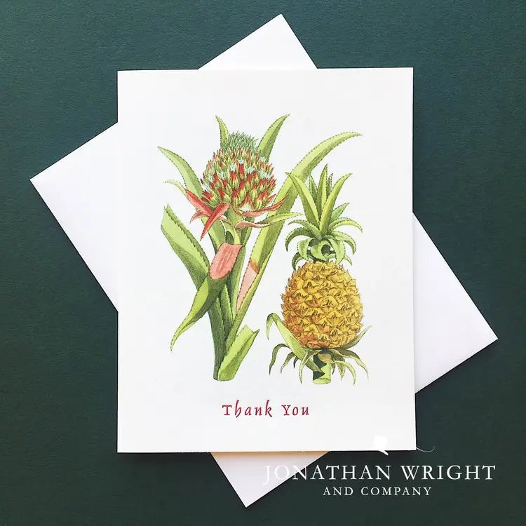 Bromeliad Thank You Note Card