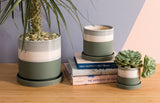 Monstera in Ceramic Pot "Tia" and stacked books on wood surface, set against a pastel-colored wall.