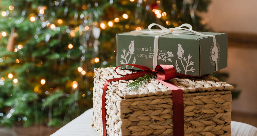 holiday gifts in front of the tree