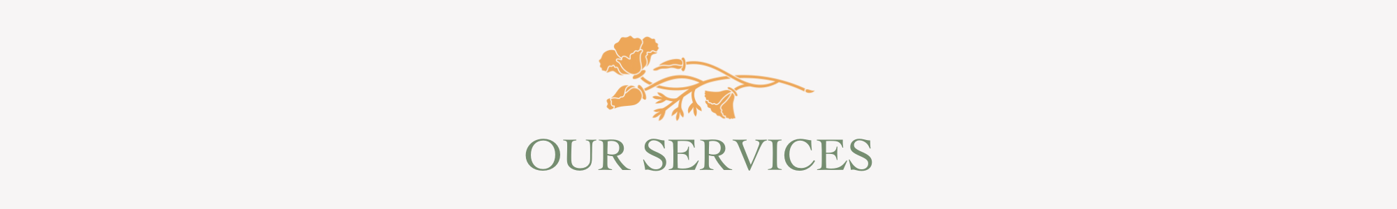 our services final