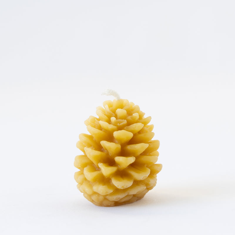 Pine Cone Beeswax Candles - Small