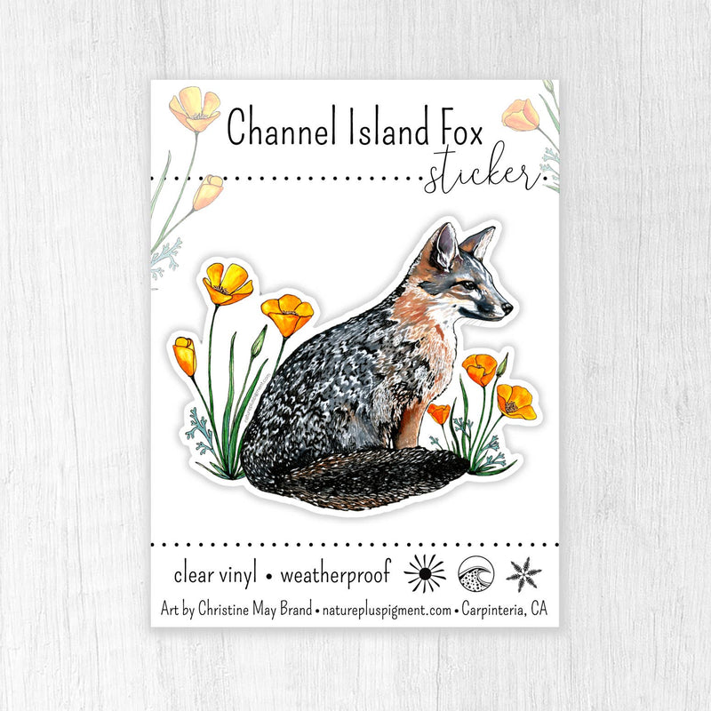 Channel Island Fox Sticker