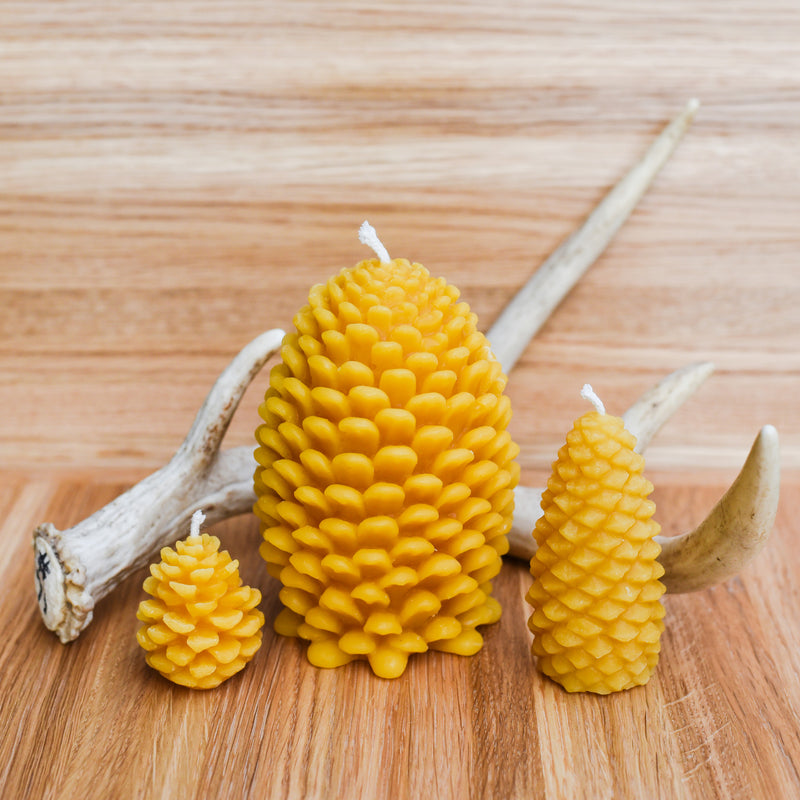 Pine Cone Beeswax Candles Candles and Home Fragrance - San Marcos Farms, The Santa Barbara Company