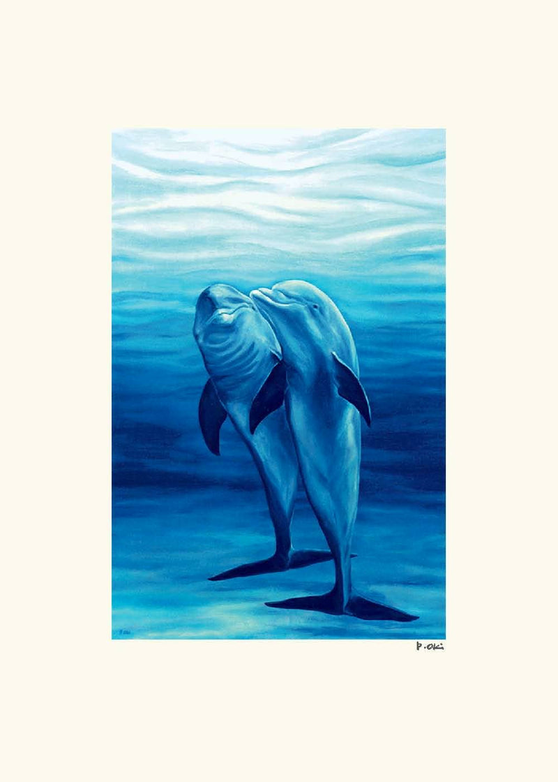 Hello from the Dolphins Note Card
