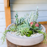 The Emerson Succulent Planter is a round concrete pot filled with assorted locally grown succulents and small white pebbles, displayed on a wooden surface outdoors.