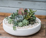 The Emerson Succulent Planter, a white shallow ceramic bowl with locally grown succulents and pebbles, sits on a wooden surface before a light gray wall—making it the perfect long-lasting gift.