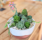 The Handmade Klapp Ceramics Pot & Succulent Planter features a white and terracotta pot filled with green rosettes, trailing succulents, pink blooms, and a cactus set in white pebbles—ideal for Santa Barbara style décor.