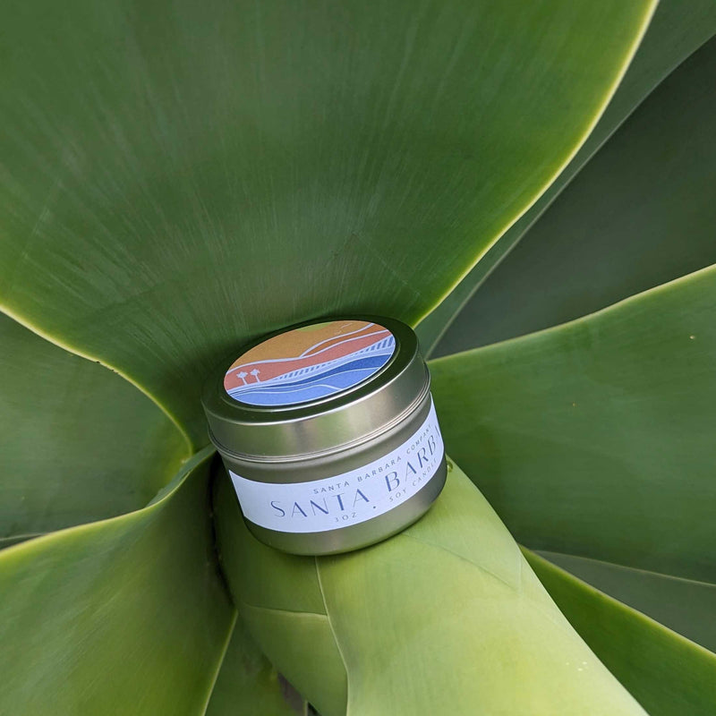 Santa Barbara Travel Candle in Aloe Plant